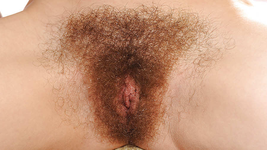 Sexy Hairy And Shaved Women 2